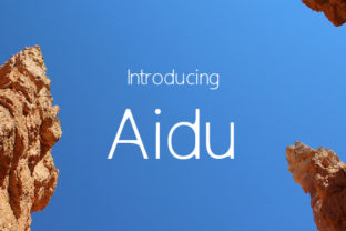 Aidu: A Modern Sans Serif Font for Campaign-Ready Headlines