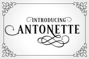Antonette: A Luxuriant Serif Font for Digital Branding