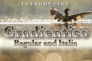 Gradientico: A Retro Serif Font That Elevates Real Small Business Branding