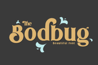 The Bodbug Font: A Retro-Serif That Makes Your Brand Feel Intentional