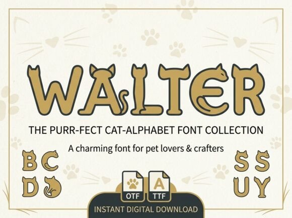 Walter: A Playful, Polished Display Font for Small Brands